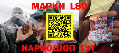 МДПВ Можга