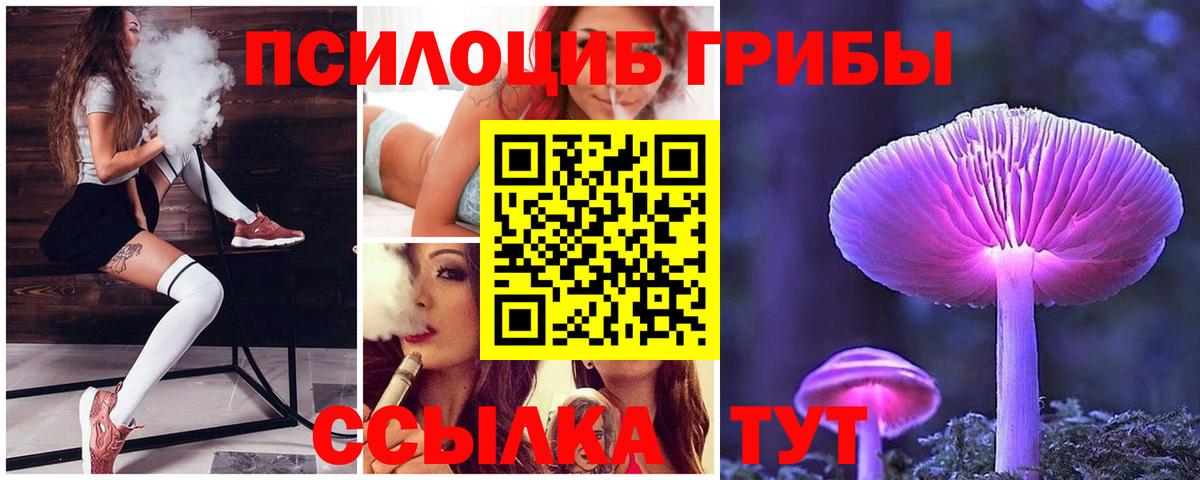 Псилоцибиновые грибы прущие грибы Уссурийск