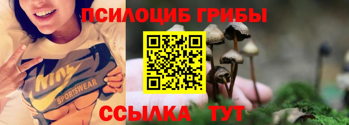 Псилоцибиновые грибы прущие грибы  Вход с VPN  Псилоцибиновые грибы MAGIC MUSHROOMS  Уссурийск 